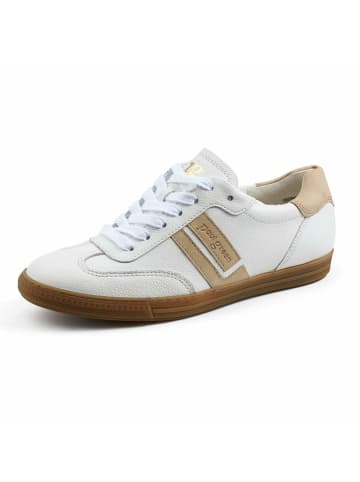 Paul Green Sneaker für Damen in creme