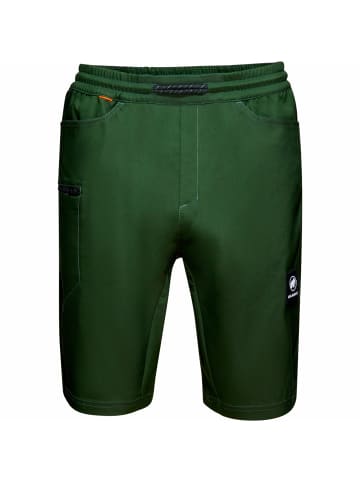 Mammut Funktionsshorts Massone in Lorbeere