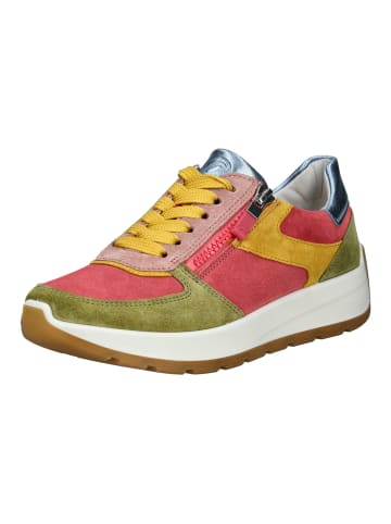 ara Sneaker in Grün