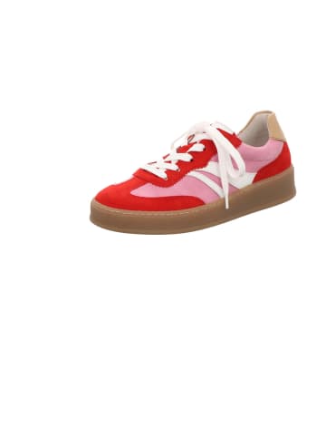 Gabor Comfort Sneaker Low in bunt