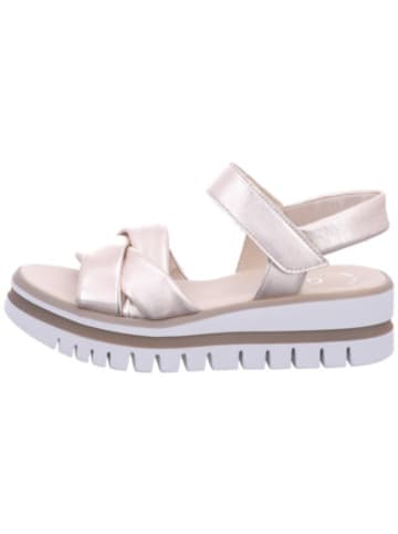Gabor Plateau Sandalen für Damen in puder