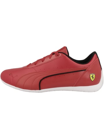 Puma Sneaker low Ferrari Neo Cat in rot