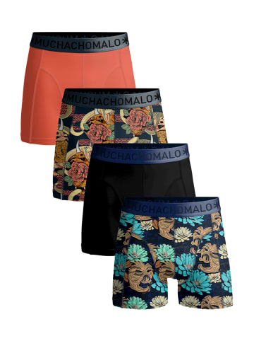 Muchachomalo 4er-Set: Boxershorts in Multicolor