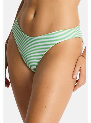 Sea Level Reef Unterteile in Matcha