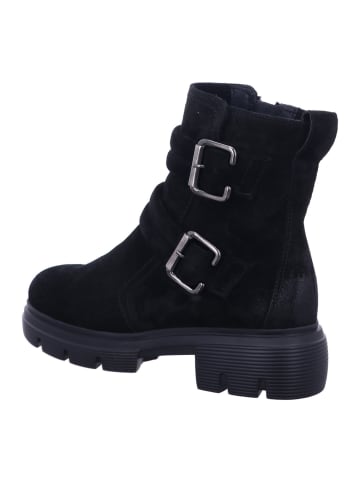 Paul Green Stiefeletten/Boot in schwarz