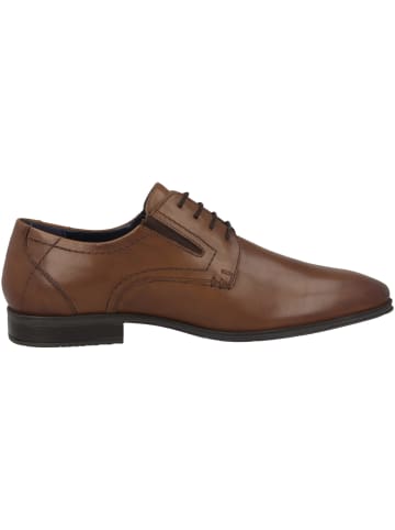 s.Oliver BLACK LABEL Businessschuhe 5-13210-39 in dunkelbraun