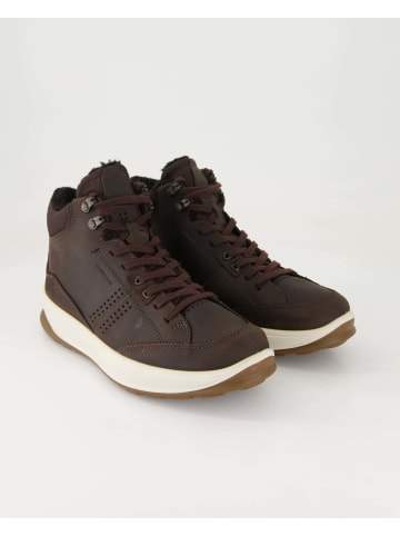 Ecco Stiefeletten in Braun