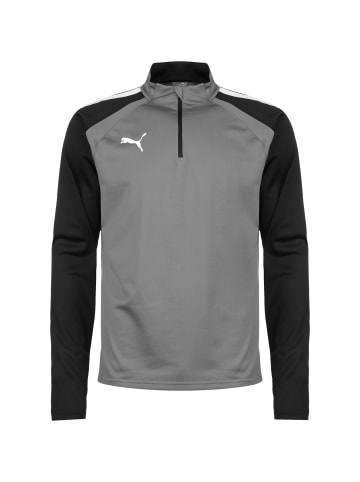 Puma Sweatshirt TeamLIGA 1/4 Zip in grau / weiß