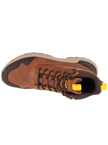 Caterpillar Caterpillar Colorado Sneaker WP in Braun
