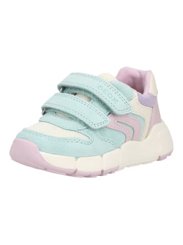Geox Sneaker in Türkis