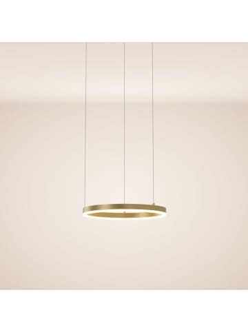 s.LUCE LED Pendelleuchte Ring 40 direkt oder indirekt 5m Abhängung in Gold