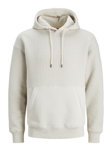 Jack & Jones Sweatshirt JCOBLACK STRUCTURE in Beige