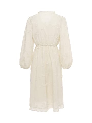 caspio Women Dress in Cream