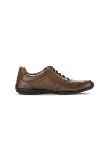 Pius Gabor Sneaker low in braun