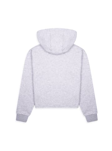 Threadgirls Hoodie THB Cropped Hoody Botswana in Grau