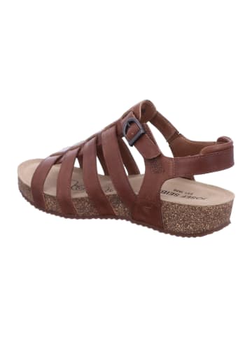 Josef Seibel Riemchen Sandalen für Damen in braun