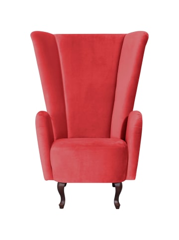 others HOCHLEHNSESSEL Kailey Bezug Samtvelours Buche nussbaum dunkel / rot