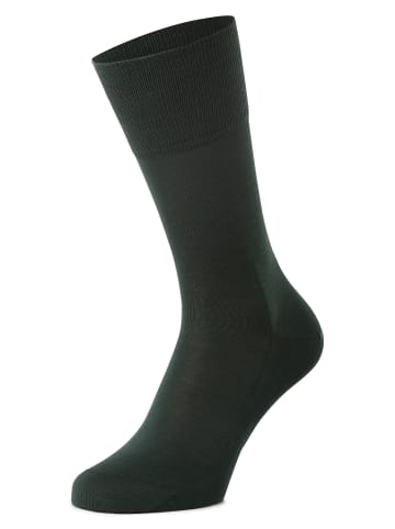 Falke Socken in tanne - 0003