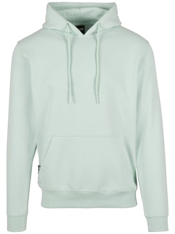  Cayler & Sons Sweat & Fleece - Hoodies in bird's egg green