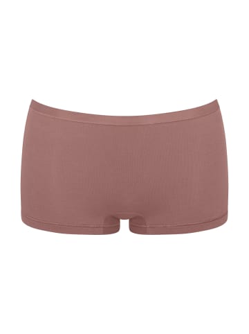 Sloggi Retro Pants GO Daily Cotton Short in CACAO