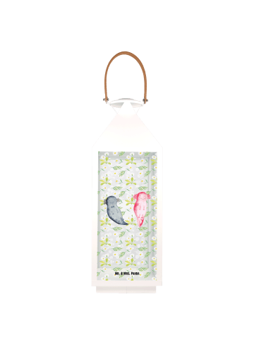 Mr. & Mrs. Panda Laterne Axolotl Freundin ohne Spruch in Transparent