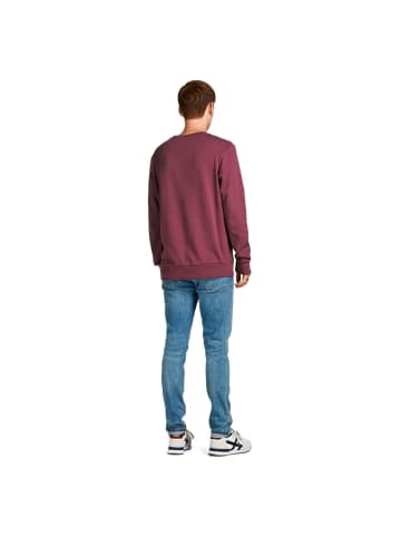 Jack & Jones Sweatshirt Bordeaux