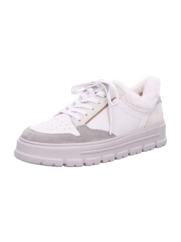 Paul Green Sneaker Low in beige