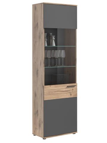 xonox.home Vitrine    (B/H/T: 57x200x37 cm) in Nox Oak Nachbildung und Basalt grau