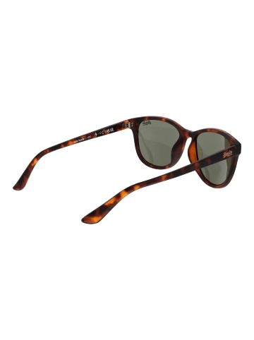 Superdry Sonnenbrille Panto Braun