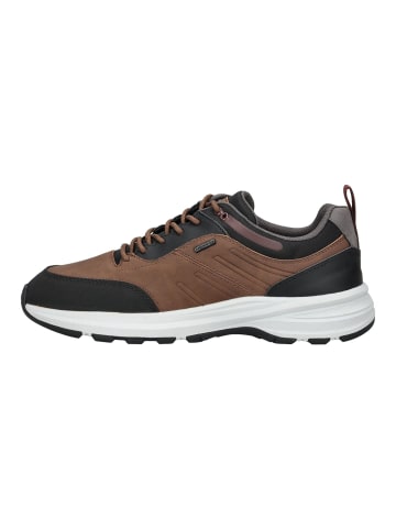 Geox Sneaker in Braun/Schwarz