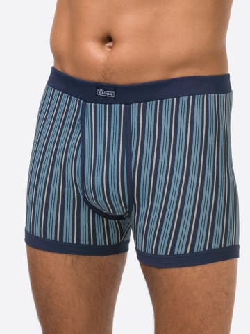 WITT WEIDEN Hose kurz in marine-bedruckt