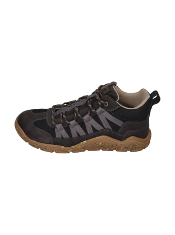 KOEL Sneaker Low Raxo in grau