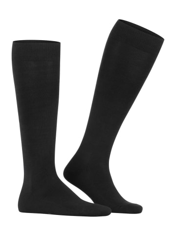 Falke Socken 1er Pack in Schwarz