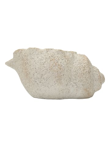 Mauro Ferretti Beige Keramikvase in Muschelform, 35 x 23 x 18 cm
