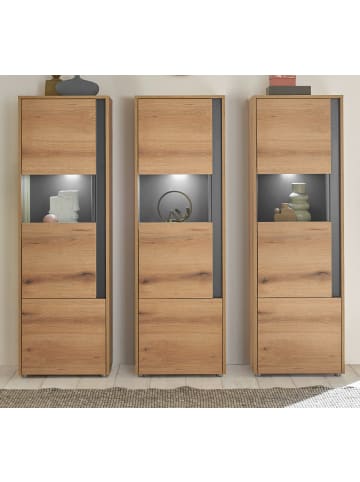 Furn.Design Schrank-Set 3-teilig Evoke Eiche, grau, Wohnkombination mit 3 x Vitrine