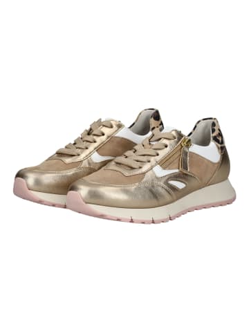 Gabor Sneaker Sand