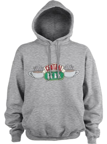 Friends Hoodie in Grau