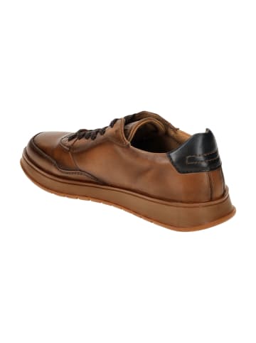 Bugatti Sportliche Schnürschuhe in Braun