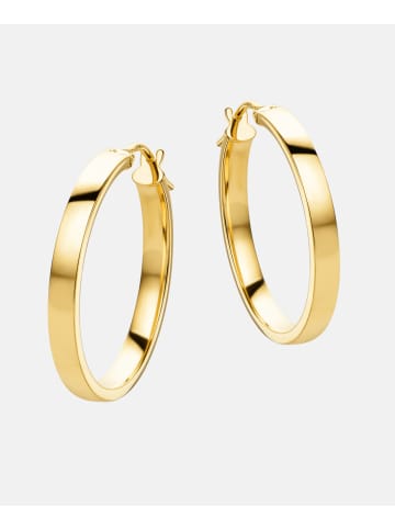 Vanlere Creolen aus 375 Gelbgold