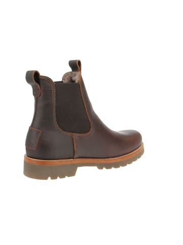 PANAMA JACK Chelsea-Boots Burton Igloo in Braun