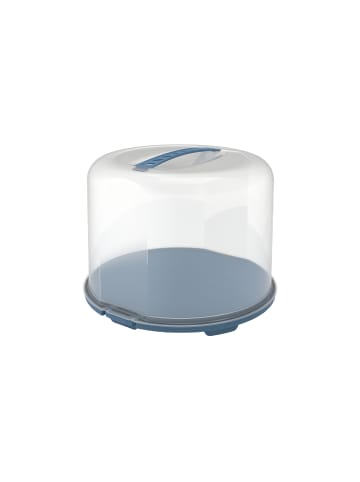 Rotho FRESH Kuchentransportbox XL in Transparent / Horizon blau