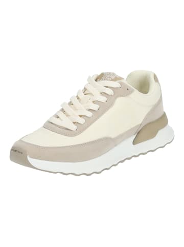 Ecoalf Sneaker in Creme