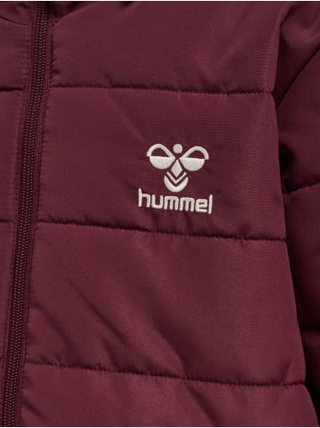 Hummel Mantel Hmlecho Lebensstil Kinder in WINDSOR WINE2
