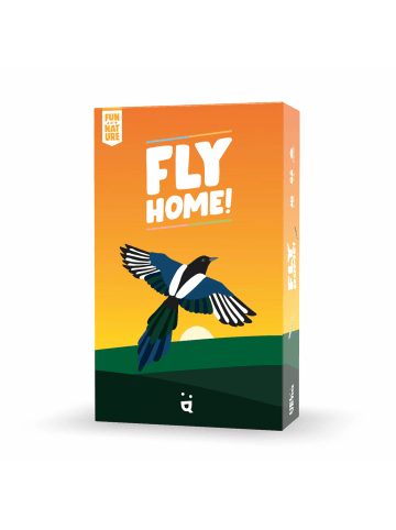 Helvetiq Memo-Spiel Fly Home! in Bunt