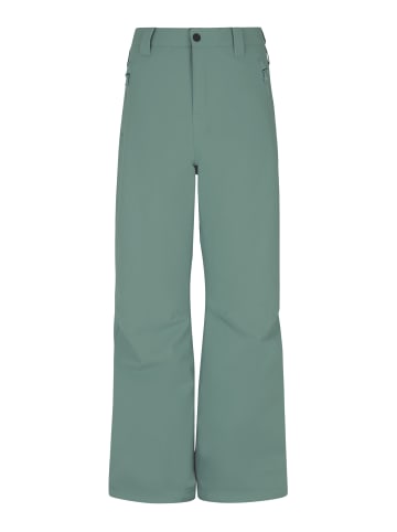 Protest " PRTSTERIO JR in Evergreen