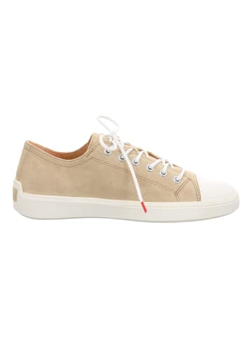 Think! Sneaker in Coffee