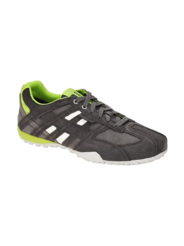 Geox Sneakers Low UOMO Snake A in grau