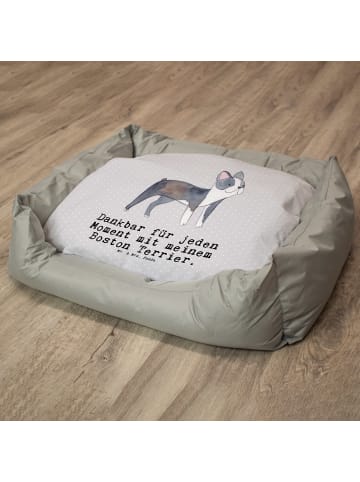 Mr. & Mrs. Panda Hundekissen Boston Terrier Moment mit Spruch in Grau Pastell