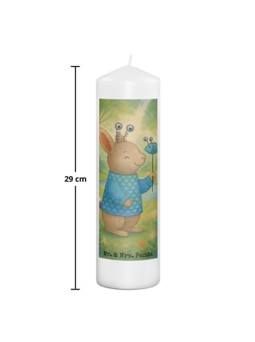 Mr. & Mrs. Panda Stumpenkerze Fische Astrologie Design ohne Spruch in Weiß