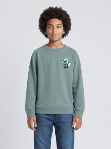 Petrol Industries Lockeres Sweatshirt mit Print Ironbrook in Grün